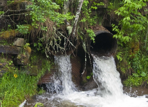 photo of culverts perched very high above stream bed, creating barrier to fish passage