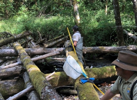 Habitat restoration