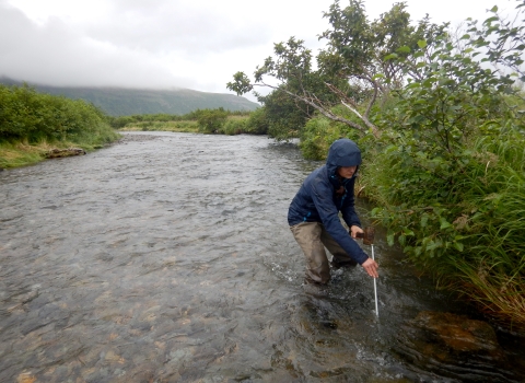 a person taking measurements in a stream