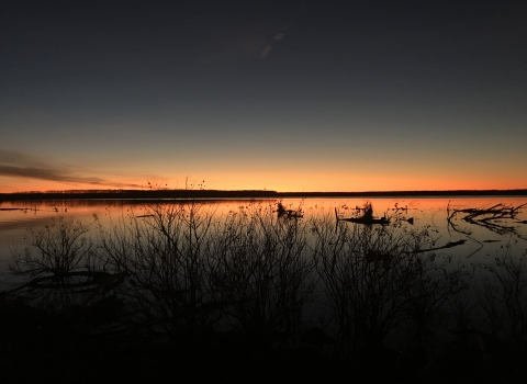 Sunrise over a lake.