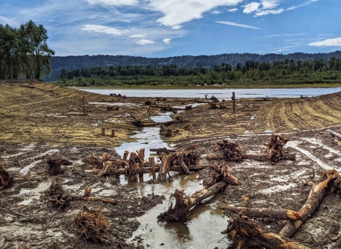 view of channel leading to the Columbia River from Steigerwald Lake NWR with woody debrief, green vegetation and blue skies facing toward Oregon