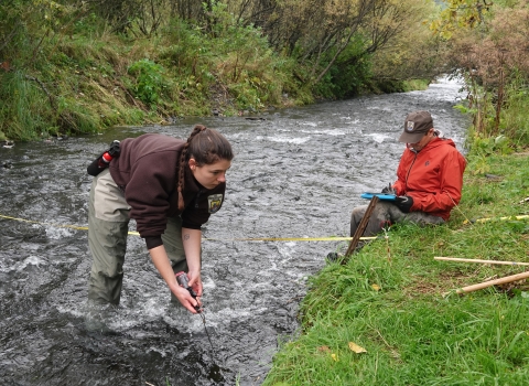 USFWS staff monitoring water temp in a stream