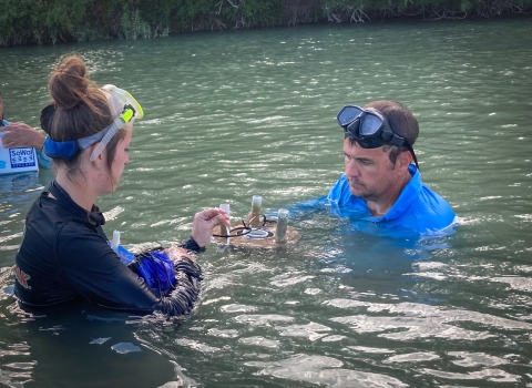 Researchers assemble a mussel silo