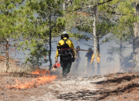 A firefighter walks with a drip torch