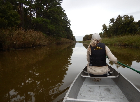 A woman in a canoe paddles down a grass- and tree-lined canal