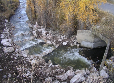 Step pools fish passage