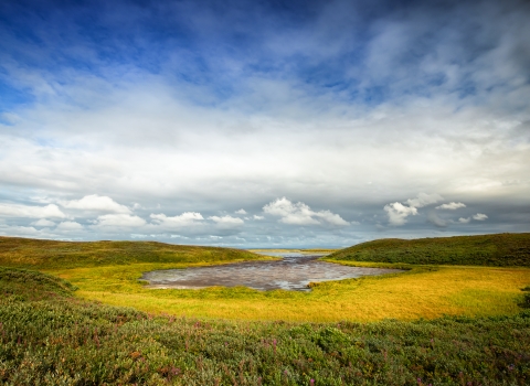 Large pool of water surrounded by low tundra grasses under cloud covered sky.