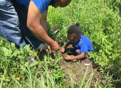 child and adult work in a plot of land