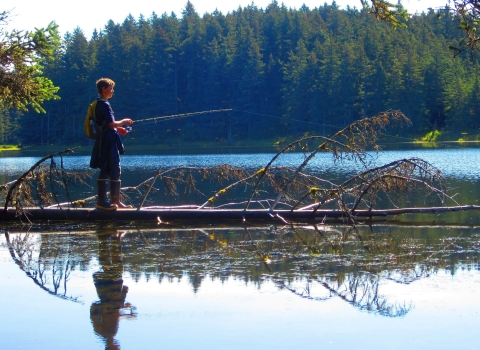 A young man fishing while standing on a log that has fallen into a lake