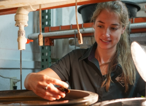 Woman holding a freshwater mussel