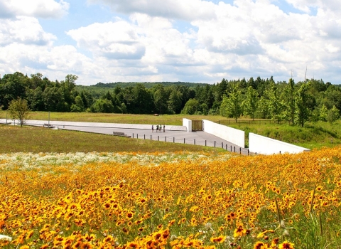 wildflowers in field above memorial