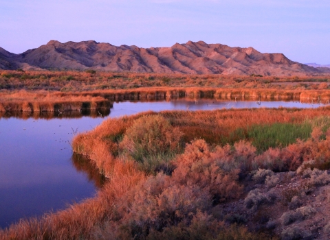 Scenic view of the lower Colorado River with mountains in the background.