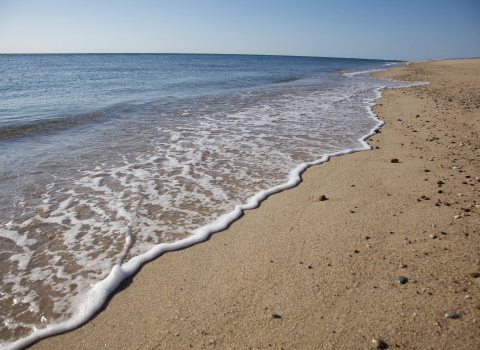 Stones dot a sandy beach along the shoreline.