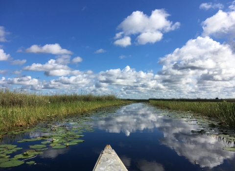 Arthur R. Marshall Loxachatchee NWR