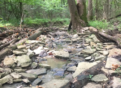 Oak Glen Nature Preserve, Hamilton County, Ohio