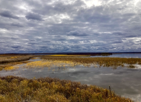 Lacreek NWR wetlands in fall