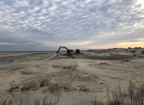 A large digger works in the sand along the beach to create waterfowl ponds