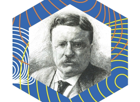 Graphic logo of Theodore Roosevelt.