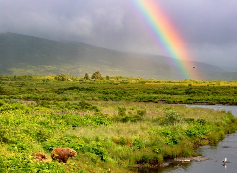 A portion of a rainbow over a field of lush green vegetation at the mouth of a river