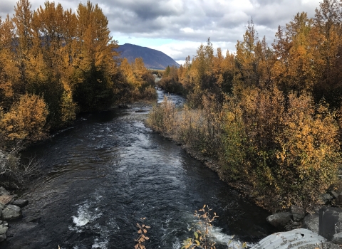 looking down stream at trees in fall colors and cloudy skies