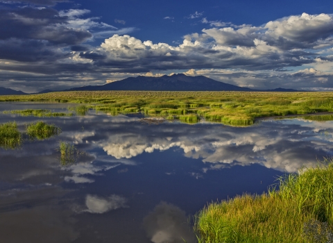 View of Wetlands & Mt. Blanca from Alamosa National Wildlife Refuge