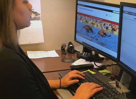 A woman sit at her desk with her hands on the keyboard and two computer monitors in front of her