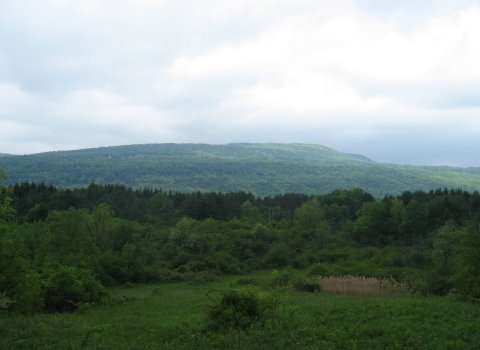 a view of a green, forested landscape with an overcast sky