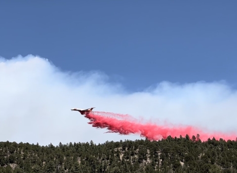 Airplane dropping red cloud on trees