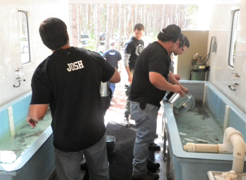 Several people are standing over tanks full of water and fish, preparing the fish to be released into a river