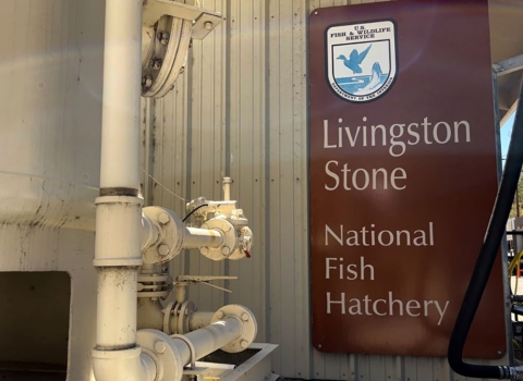 sign of Livingston Stone National Fish Hatchery