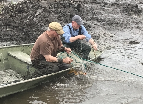 Two men in a boat pull in a net from the water at the edge of a muddy bank. The net has one fish caught in it.