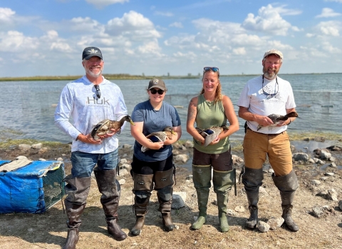 4 biologists are each holding a duck standing in front of a wetland 