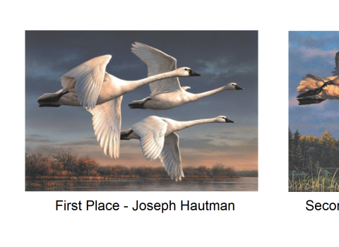 Top three pieces of Artwork for 2022 Federal Duck Stamp Contest