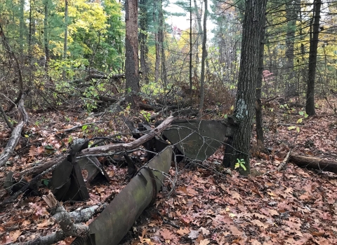 Large pieces of rusty metal in a wooded area