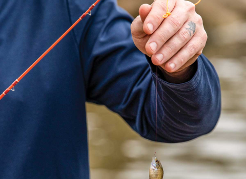 Adam Comer holds up small fish hooked while microfishing. 