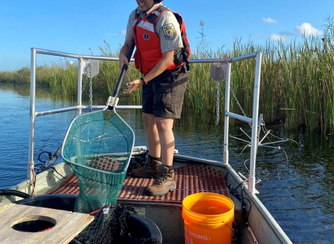 Fish Collecting at Artur R. Marshall Loxahatchee National Wildlife Refuge 