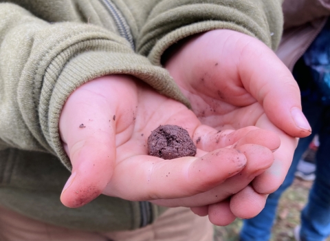 Student holds seedball