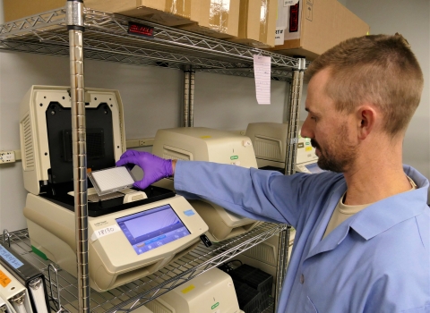 Staff member uses PCR to process eDNA samples