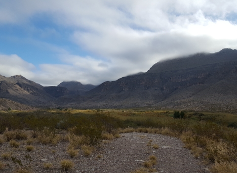 West Texas landscape