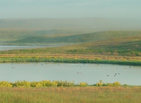 Prairie Wetland