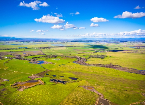 vernal pools dot a flat, grassy landscape bound by blue mountains and sky