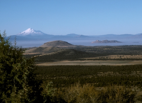 Landcape photo of a green basin with snowcapped mountain in the background.