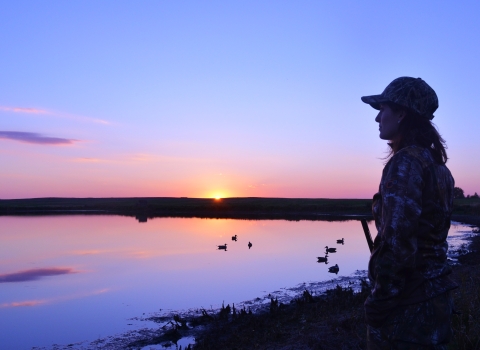 Waterfowl hunting at sunrise