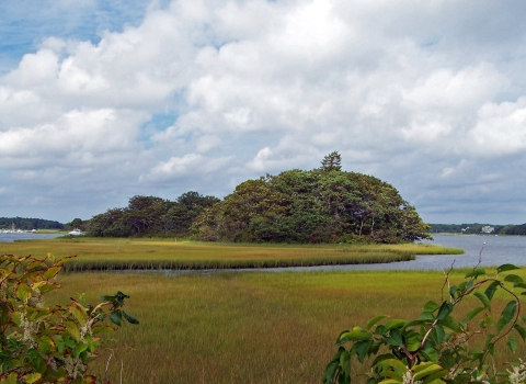 Blue water ripples through tall marsh grass. In the foreground there is a Gooseberry Island covered in trees. In the background is a small pier with docked boats. 