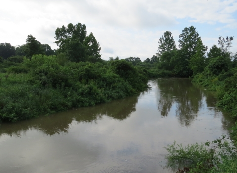 Photo of stream with habitat on the sides