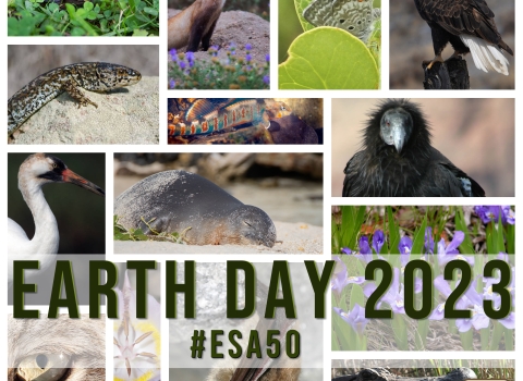 2023 Earth Day collage of animals and Service's logo in the bottom right corner.