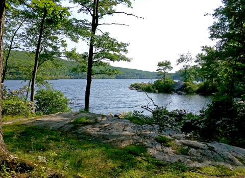 A view of the forested hills leads to a large open body of water below 