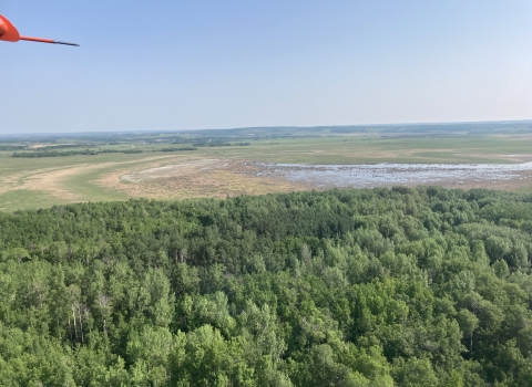 Aerial view of a landscape with forest and wetlands 