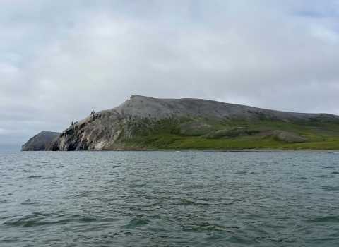 Crowbill Point, covered in green and grey with grass and dirt, stretches into the blue waves of the Chukchi Sea.