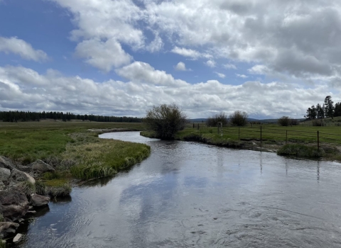 Picture of the Williamson River 